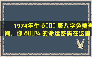 1974年生 🐟 辰八字免费查询，你 🐼 的命运密码在这里！